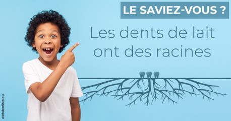 https://www.dr-quentel.fr/Les dents de lait 2