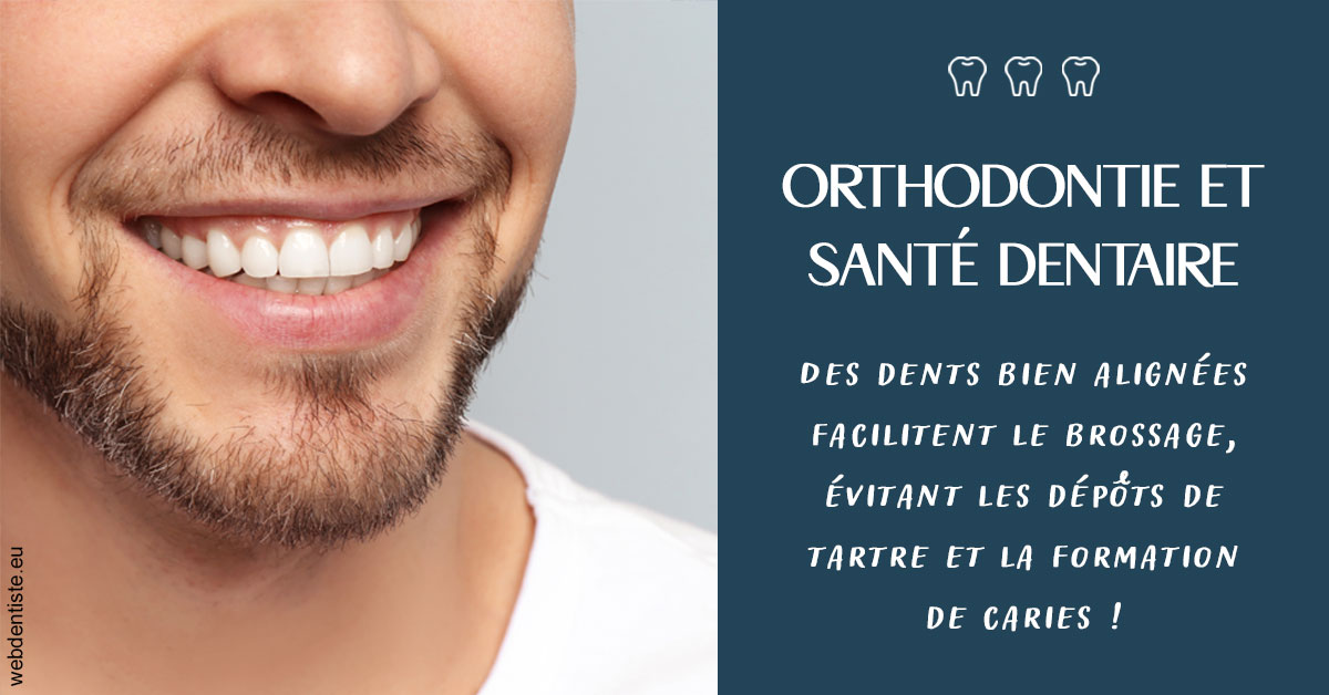 https://www.dr-quentel.fr/Orthodontie et santé dentaire 2