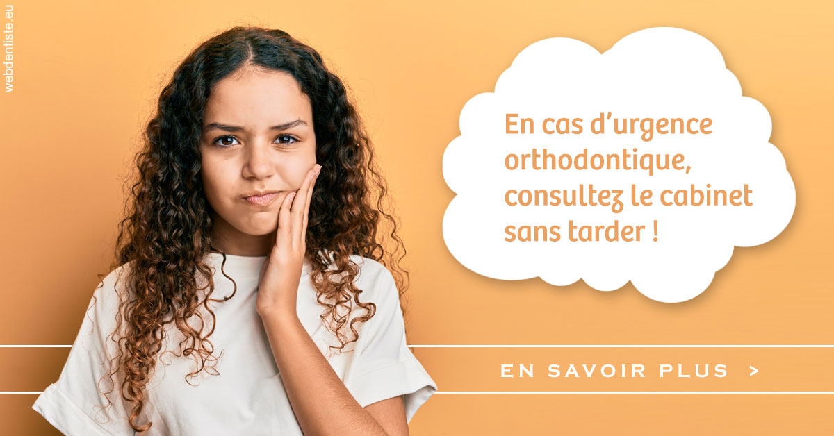 https://www.dr-quentel.fr/Urgence orthodontique 2