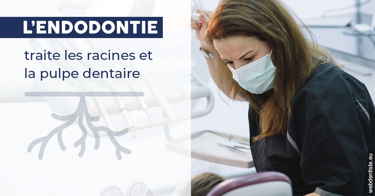 https://www.dr-quentel.fr/L'endodontie 1