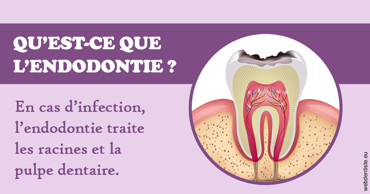 https://www.dr-quentel.fr/2024 T1 - Endodontie 02