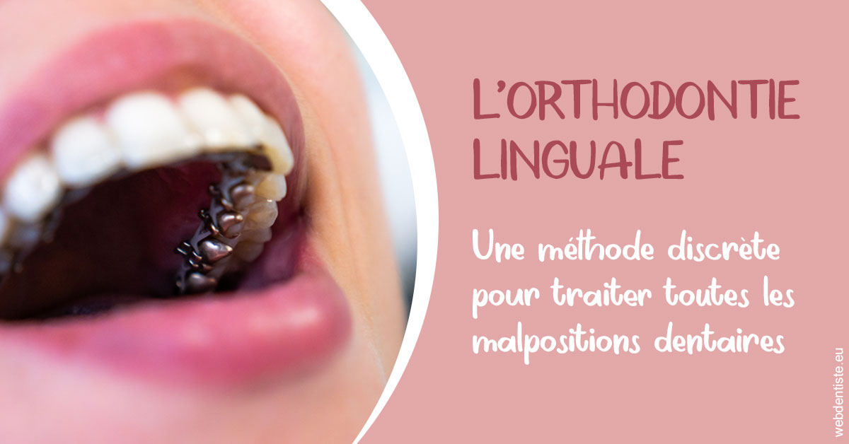 https://www.dr-quentel.fr/L'orthodontie linguale 2