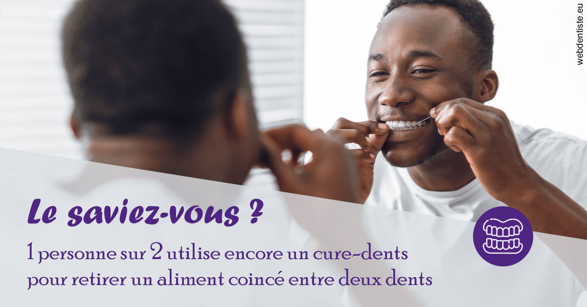https://www.dr-quentel.fr/Cure-dents 2