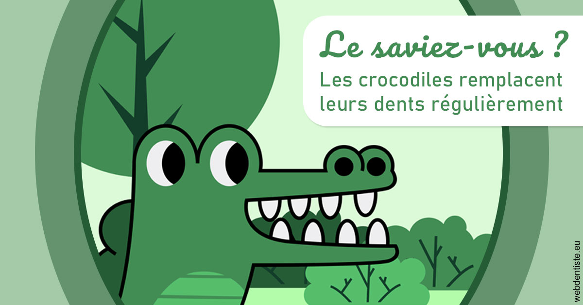 https://www.dr-quentel.fr/Crocodiles 2
