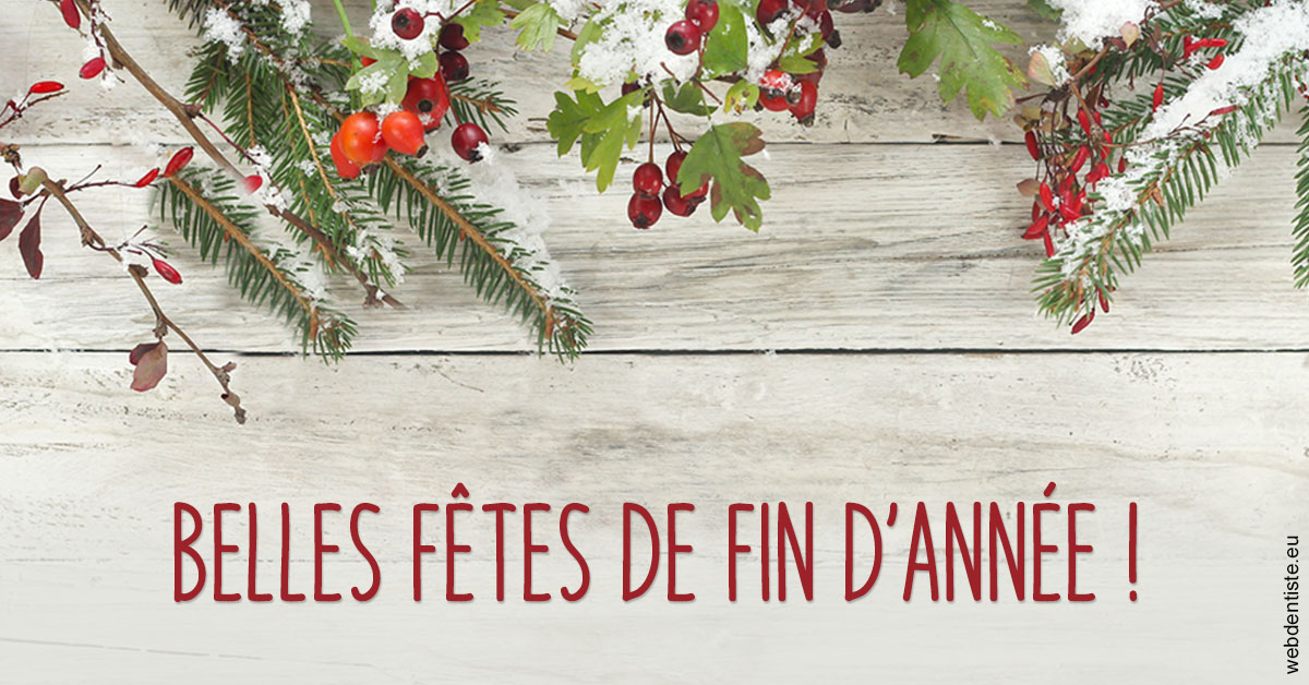 https://www.dr-quentel.fr/Joyeux Noël 2