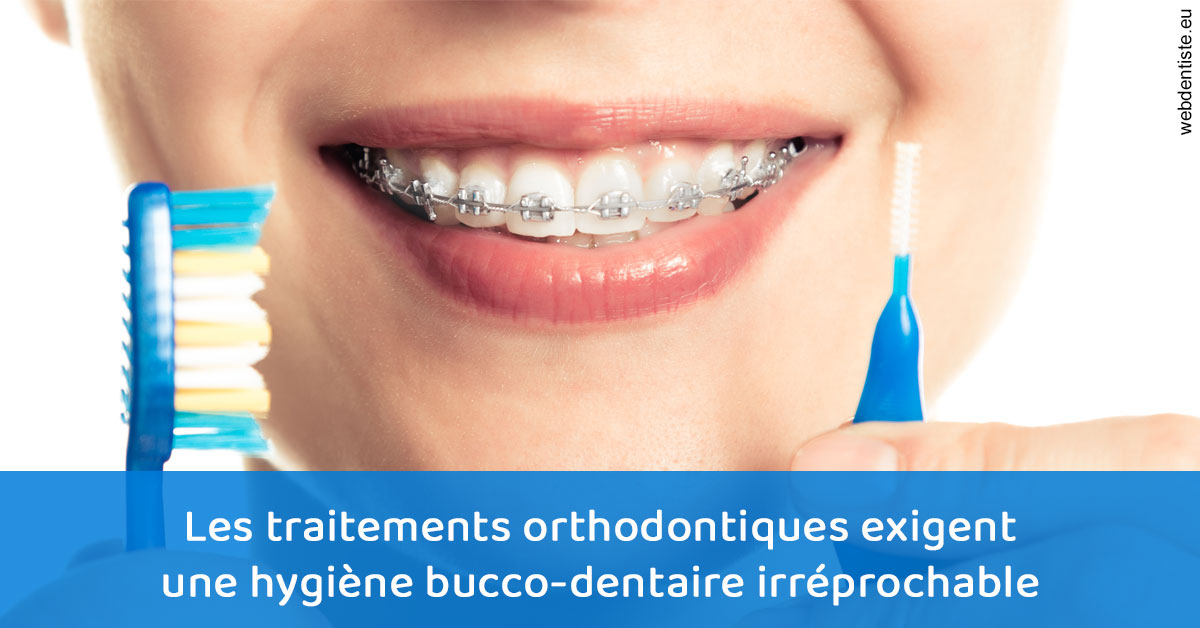 https://www.dr-quentel.fr/Orthodontie hygiène 1