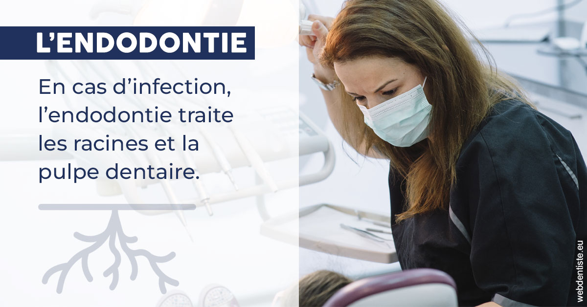 https://www.dr-quentel.fr/L'endodontie 1