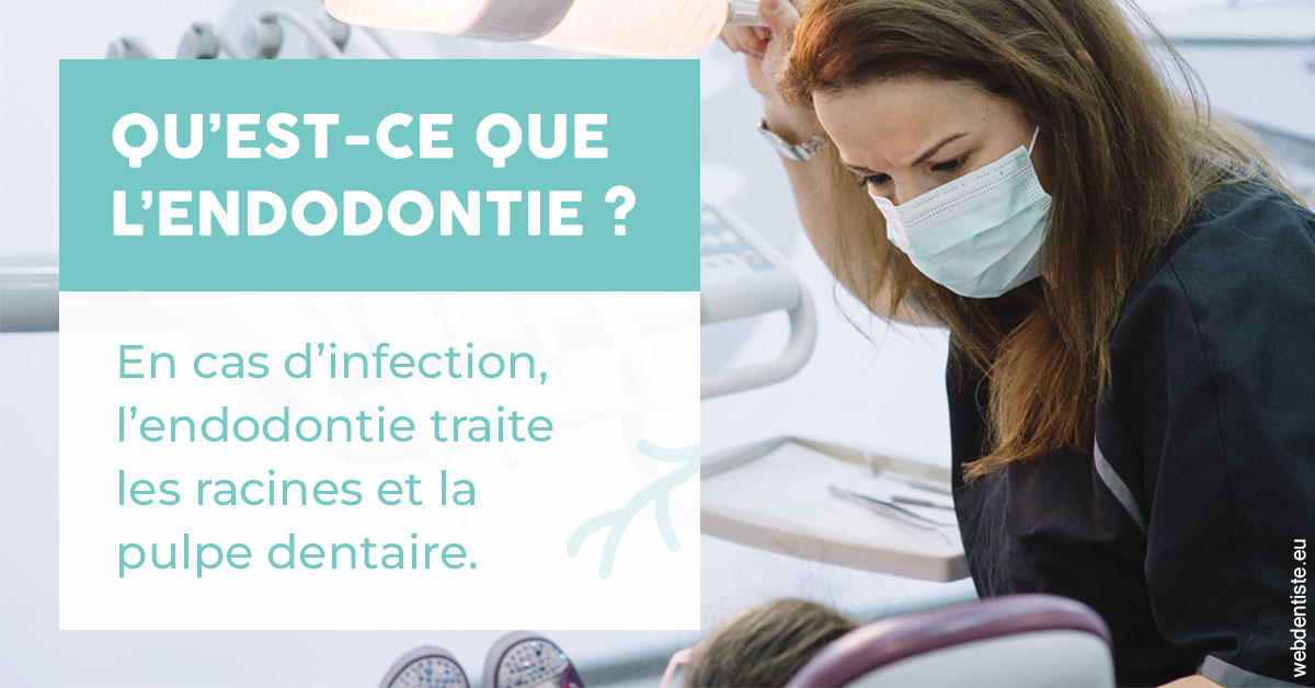 https://www.dr-quentel.fr/2024 T1 - Endodontie 01