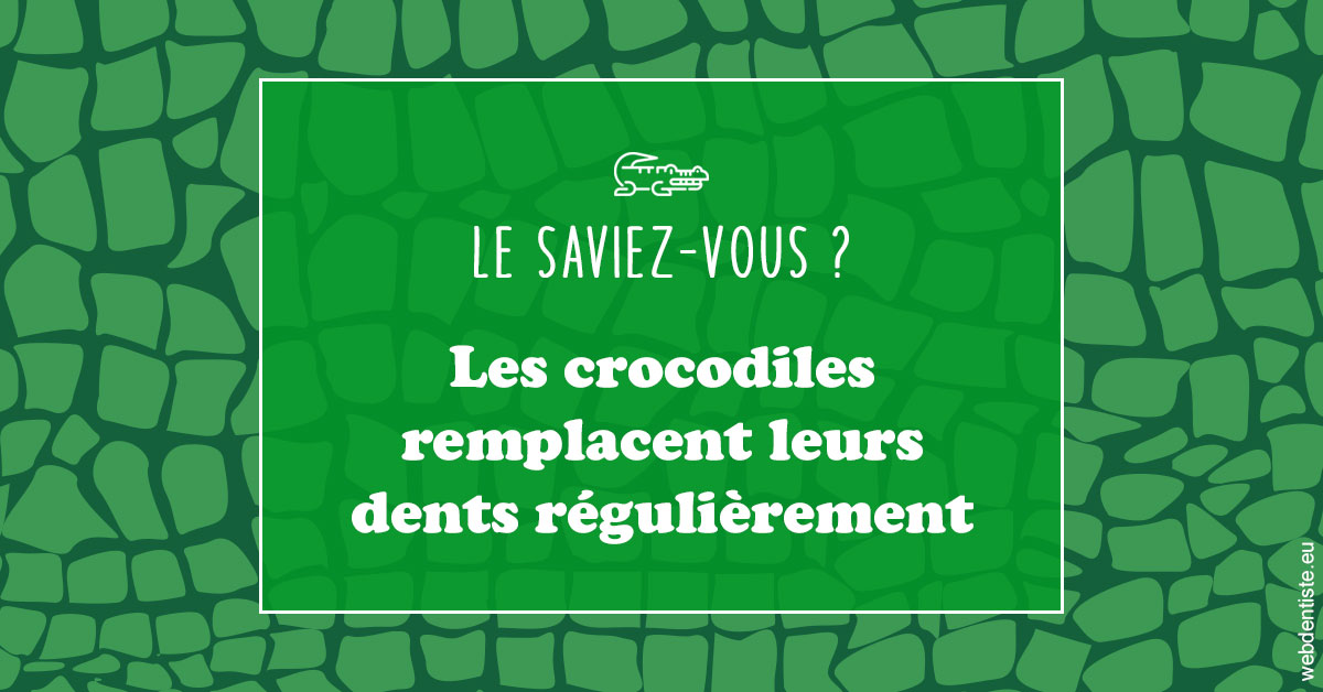 https://www.dr-quentel.fr/Crocodiles 1