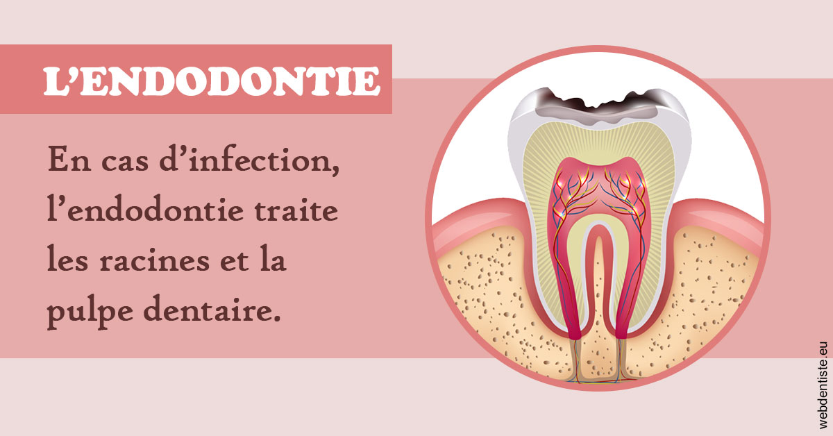 https://www.dr-quentel.fr/L'endodontie 2